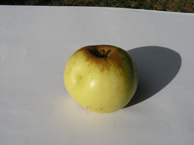  de vilar