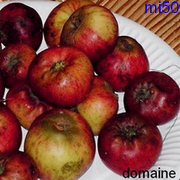  domaine