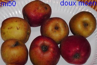  dous moën