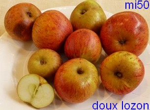  doux lozon