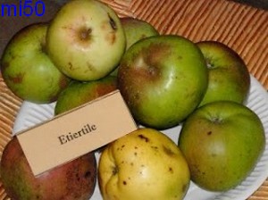  etierville