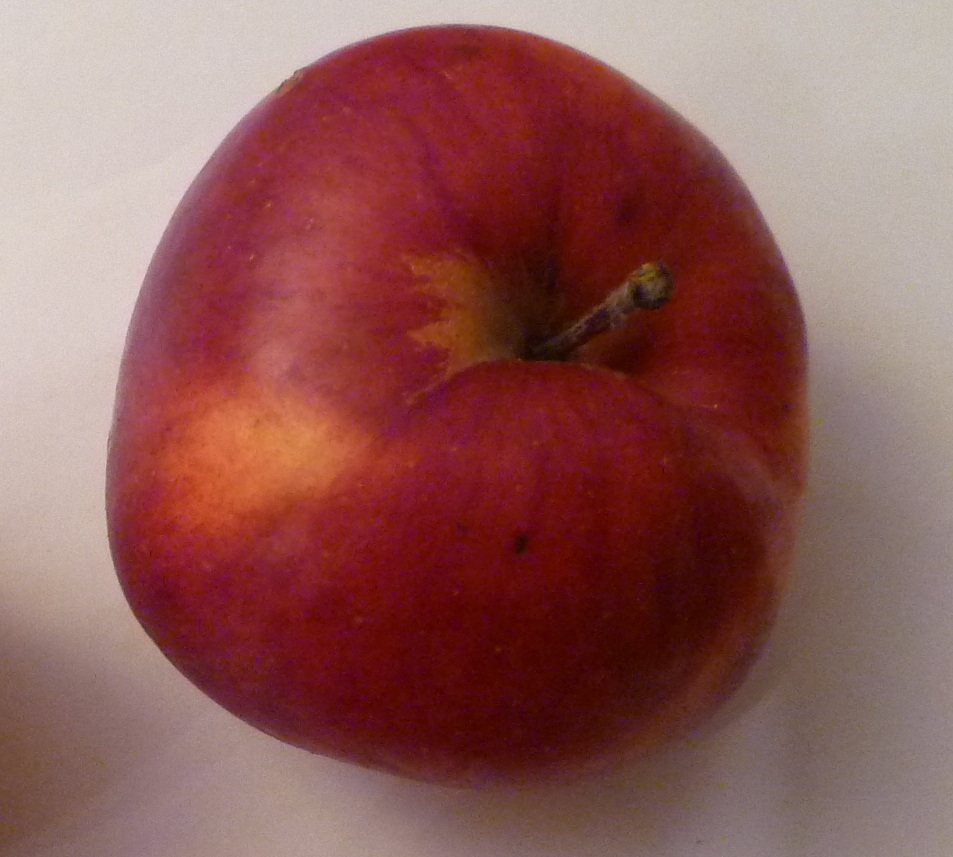 framboise d holovaus
