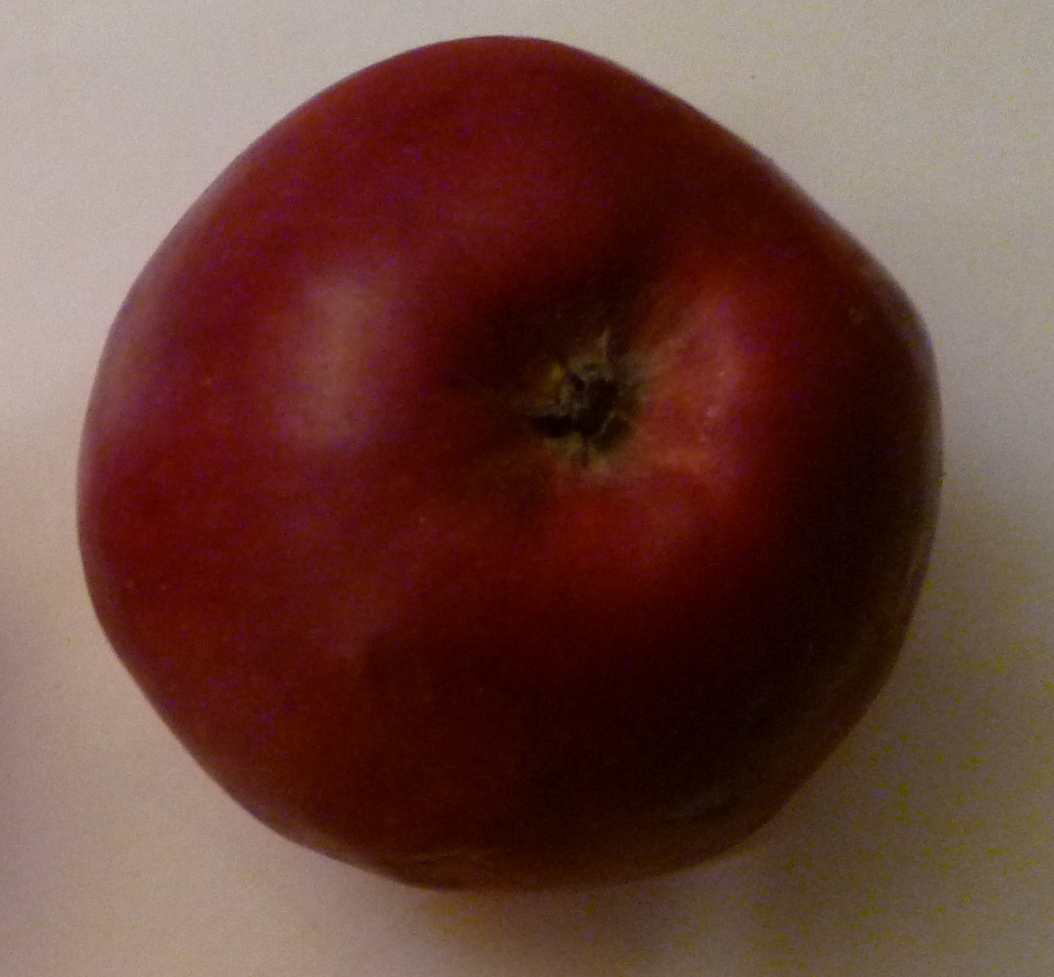  framboise d holovaus