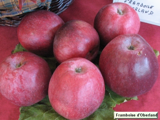  framboise d oberland