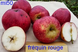  frequin rouge