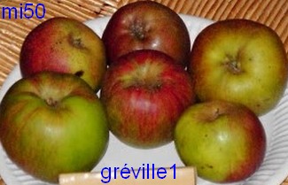  gréville