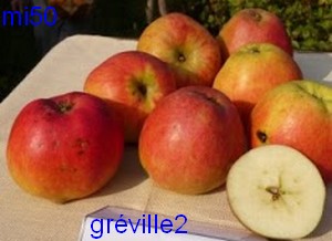  gréville