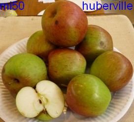  huberville