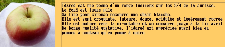  idared