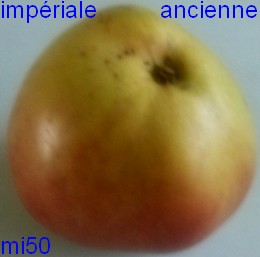  impériale ancienne