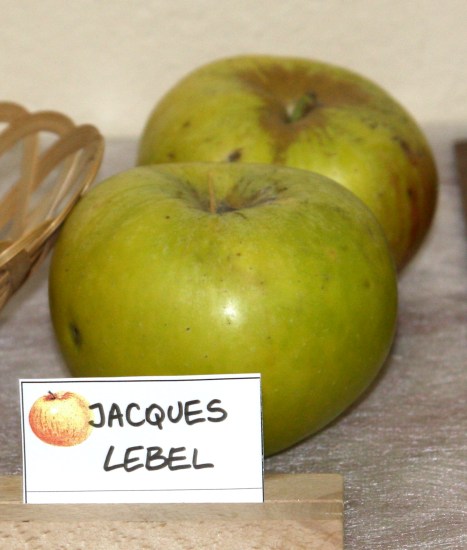  jacques lebel