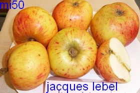  jacques lebel