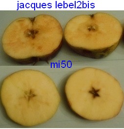  jacques lebel
