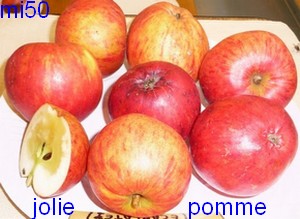  jolie pomme
