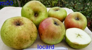  locard