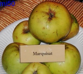  marquisat