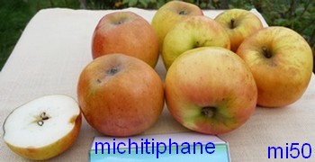  michitiphane