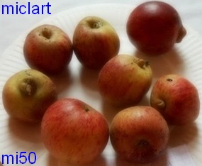  miclart