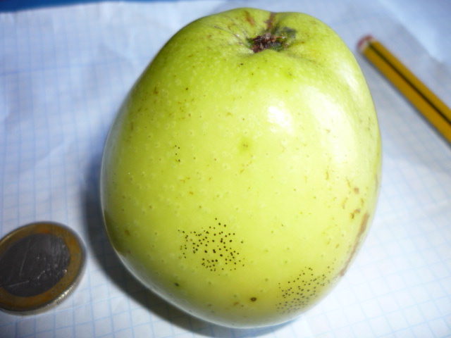  mingan