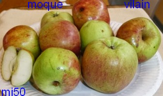  moque vilain
