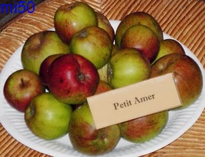  petit amer