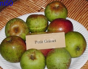  petit griset