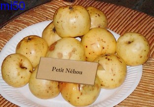  petit néhou