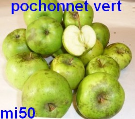  pochonnet vert