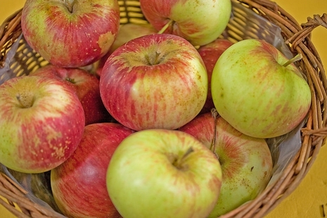  pohorka