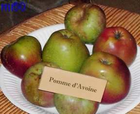  pomme d’ avoine