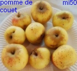  pomme de couet