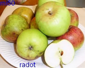  radot