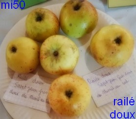  railé doux