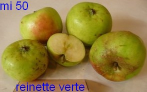  reinette verte