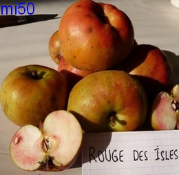  rouge des îles