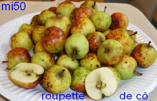  roupette de cô