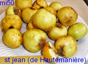  saint jean de hautemanière