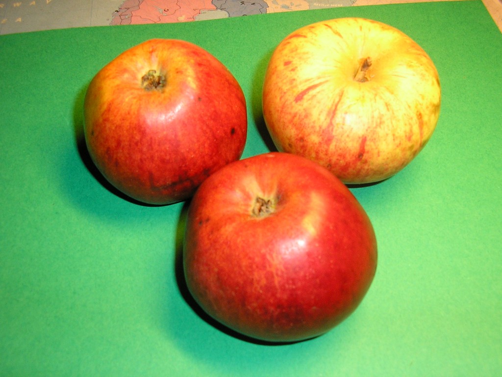 siebenschlaeffler