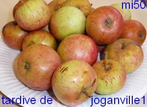  tardive de joganville