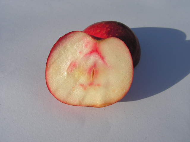  venda
