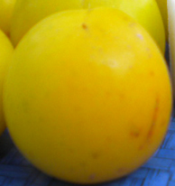  de plomelin