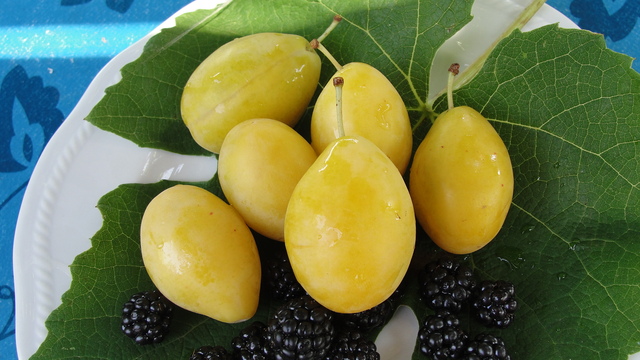 limuninca