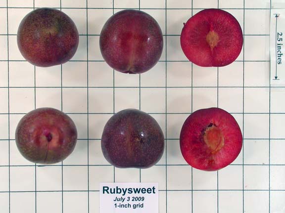  ruby sweet