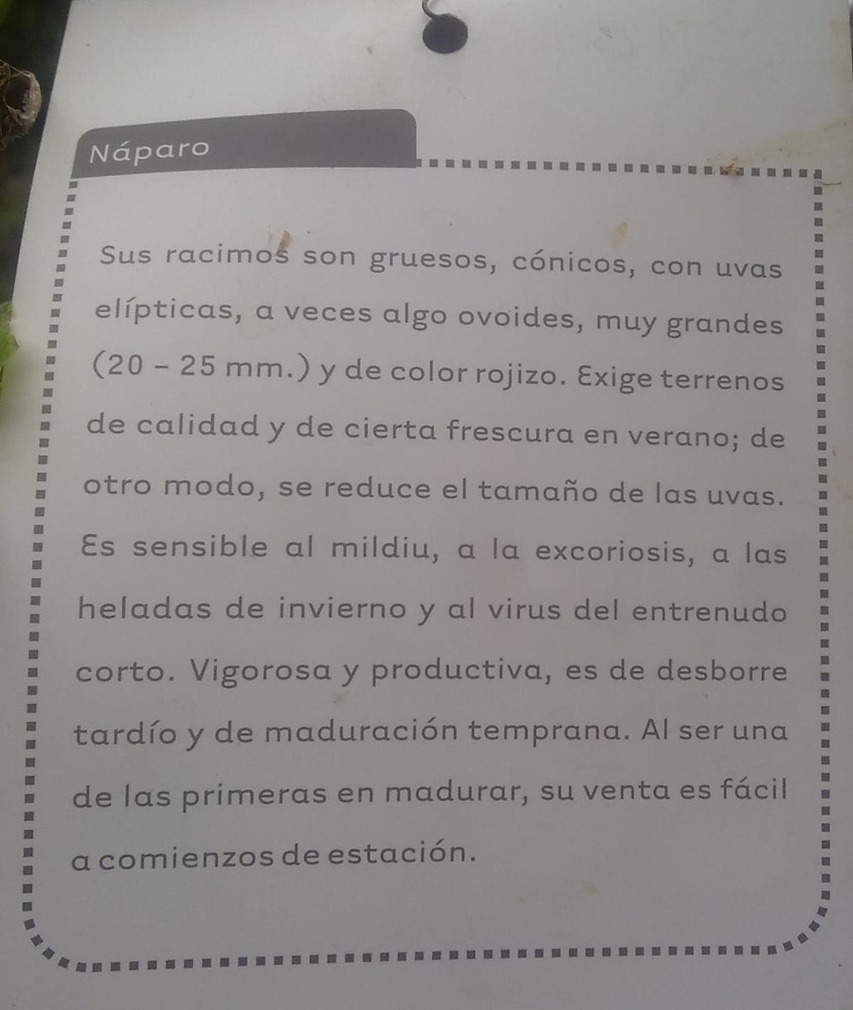  náparo