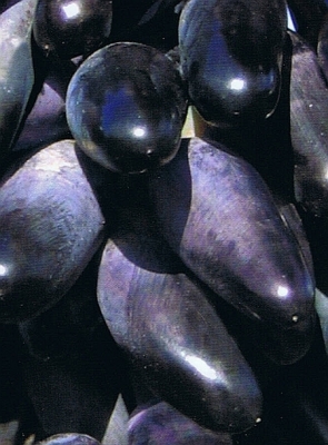  souvenir