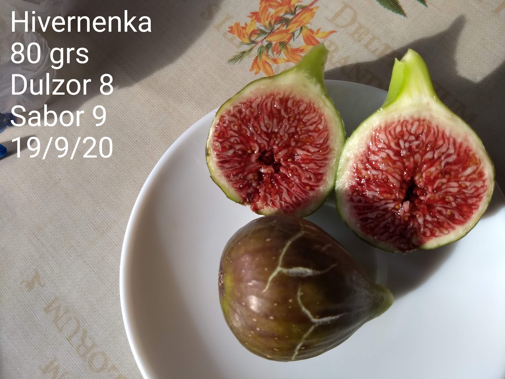  HIVERNENKA