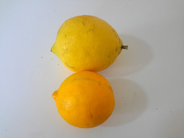  lime douce de palestine