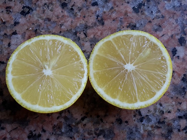  lime douce de palestine