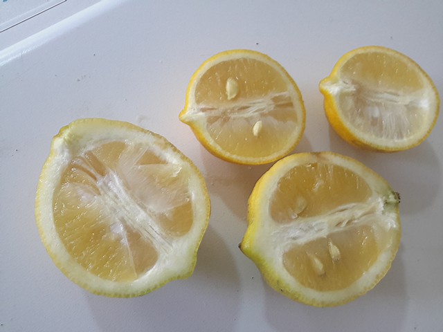  lime douce de palestine