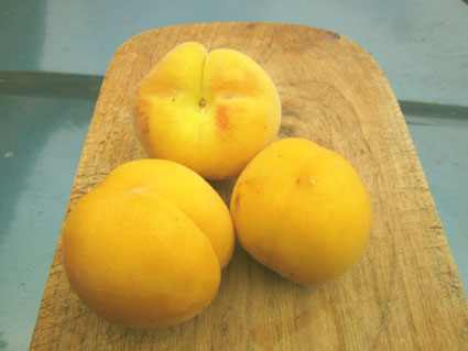 nectarine blanche